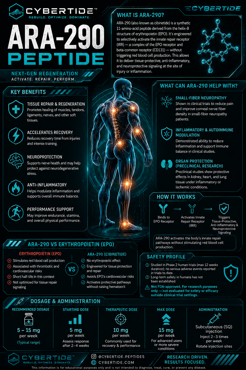 ARA-290 cybernetic study